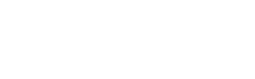 Steady-Logo